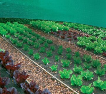 shade net for vegetables