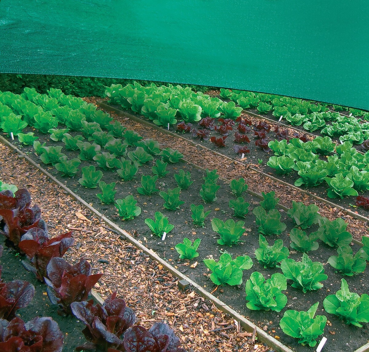 shade net for vegetables