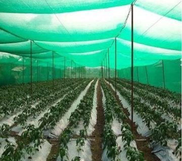 benefits of shade net for using in green houses